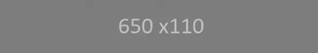 650x110