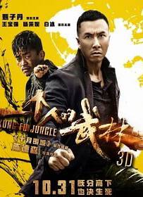 Kung Fu Jungle (2014) คนเดือดหมัดดิบ
