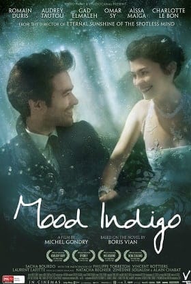 Mood Indigo (2013) รักนี้มหัศจรรย์