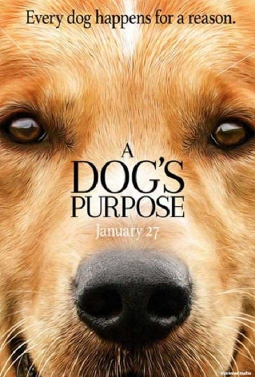 A Dog’s Purpose (2017) หมา เป้าหมาย และเด็กชายของผม