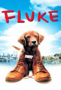 Fluke (1995) เกิดใหม่กลายเป็นหมา