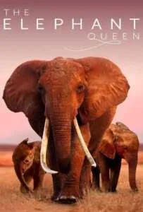 The Elephant Queen (2019)